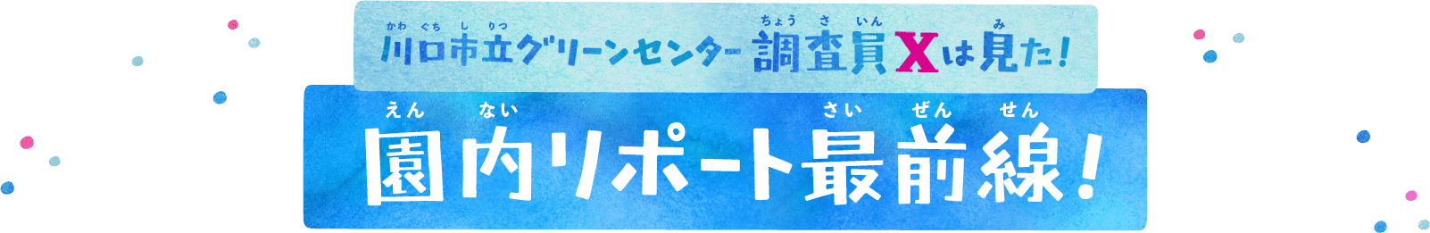 調査員Jは見た！再整備リポート最前線！