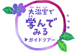 学んでみる