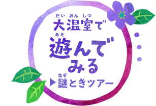遊んでみる