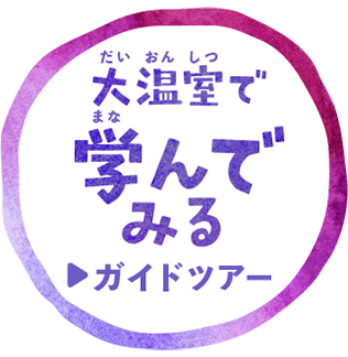 学んでみる