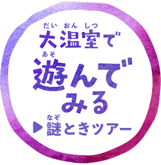 遊んでみる