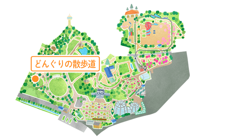 マップ どんぐりの散歩道