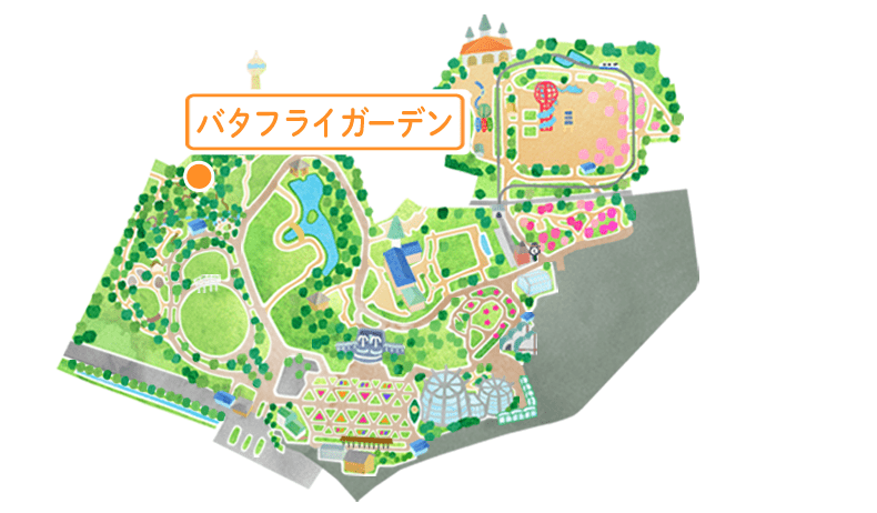 マップ バタフライガーデン