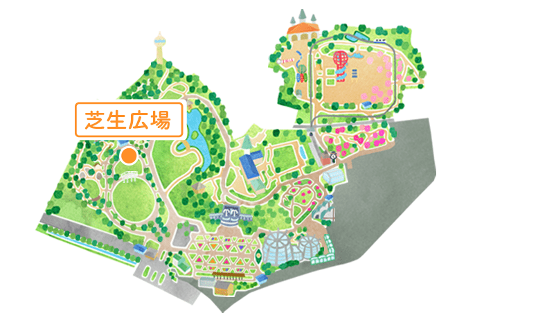 マップ 芝生広場