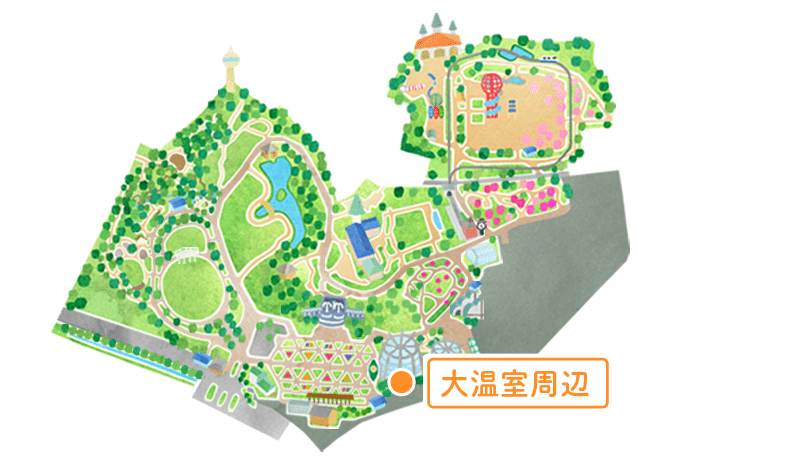 マップ 大温室周辺