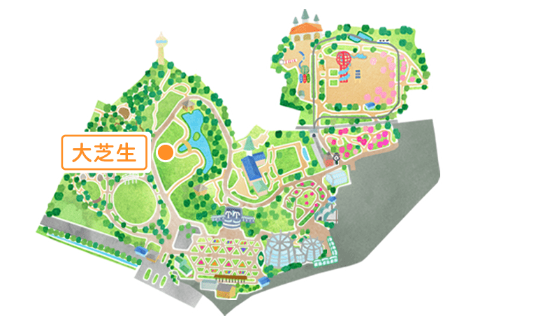 マップ 大芝生