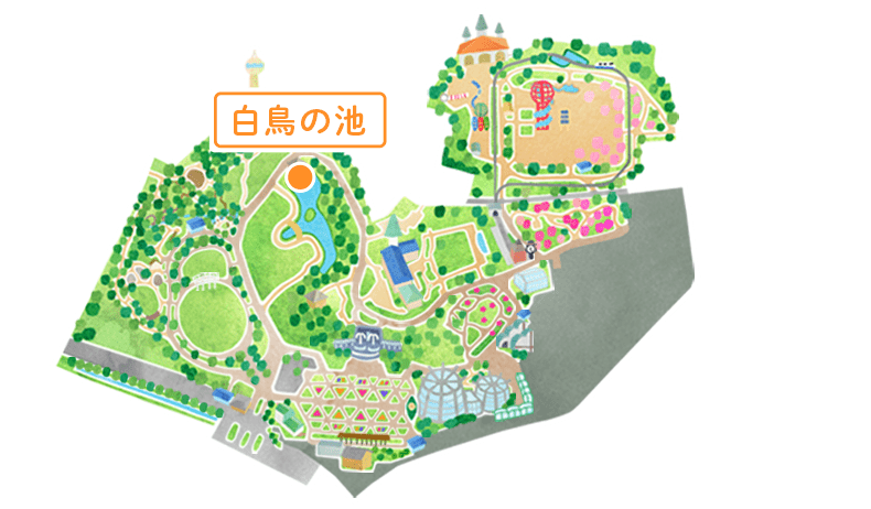 マップ 白鳥の池
