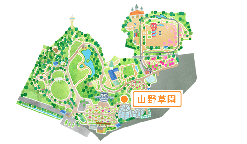 マップ 山野草園